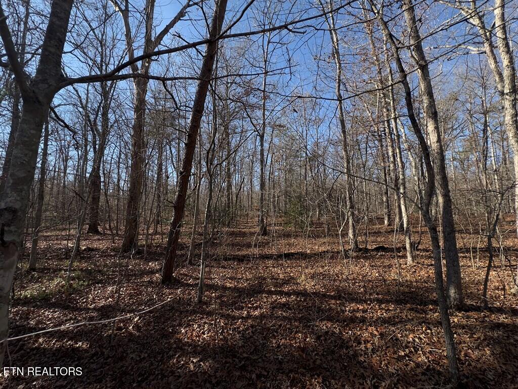 0 Ann Road Monterey, TN 38574 - Photo 5 of 6 241181_4