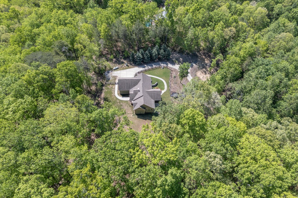 475 Tater Tot Road Jasper, GA 30143 - Photo 74 of 80