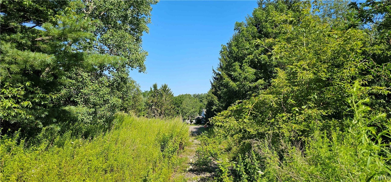 Hilton Road Dryden, NY 13053 - Photo 11 of 12 Gallery Image 11