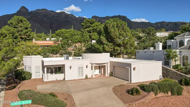 a very nice looking room with a potted plant