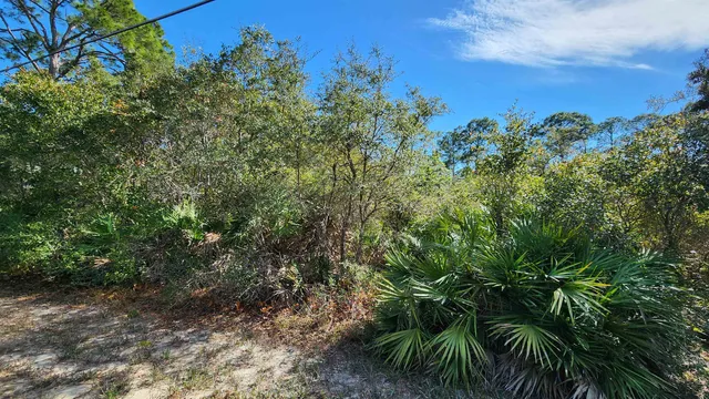 $35,000 | Lot 19 Monocoupe Drive, Panacea, FL 32346