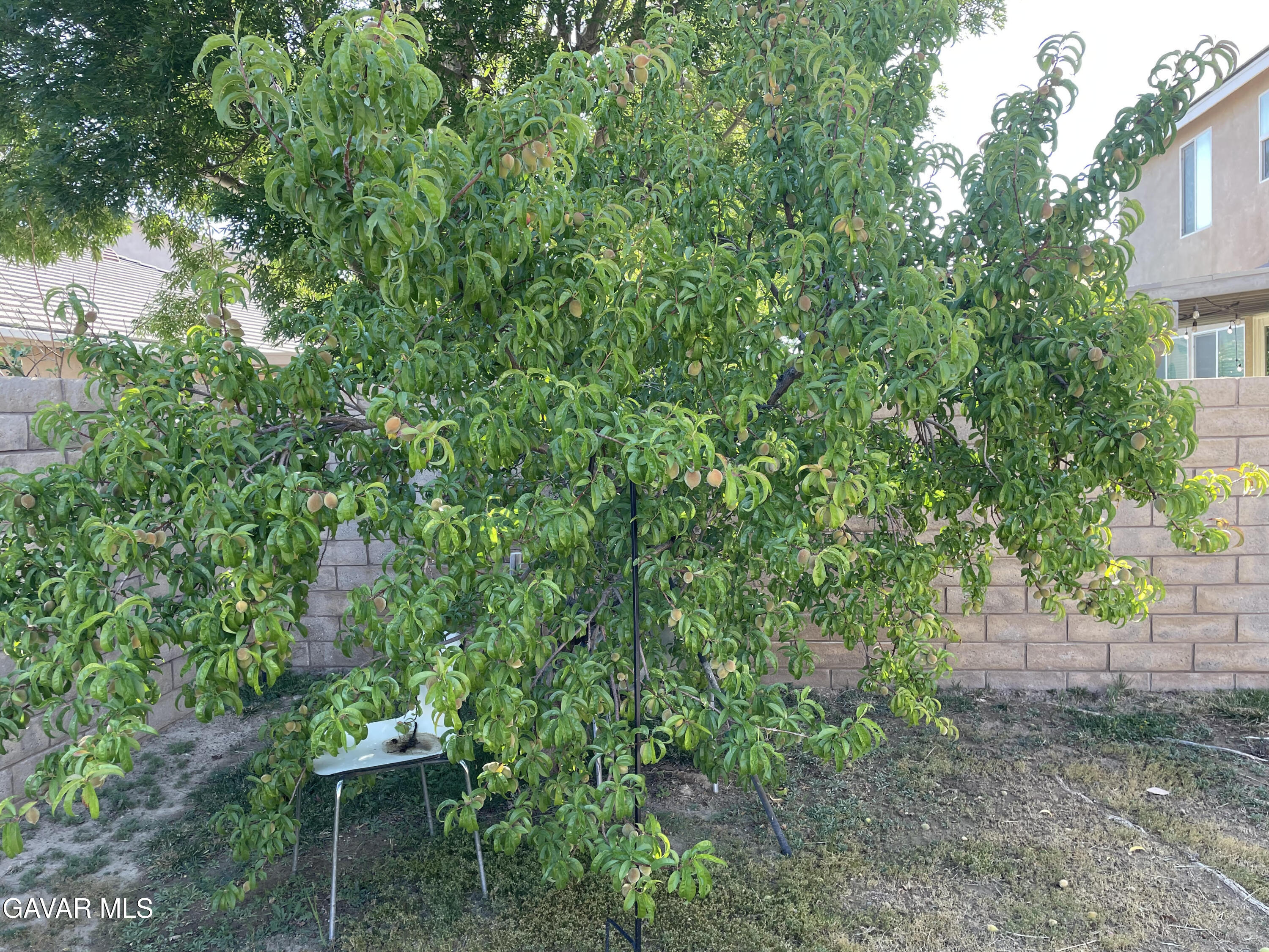3303 Arious Way Lancaster, CA 93536 - Photo 31 of 43 a view of a backyard