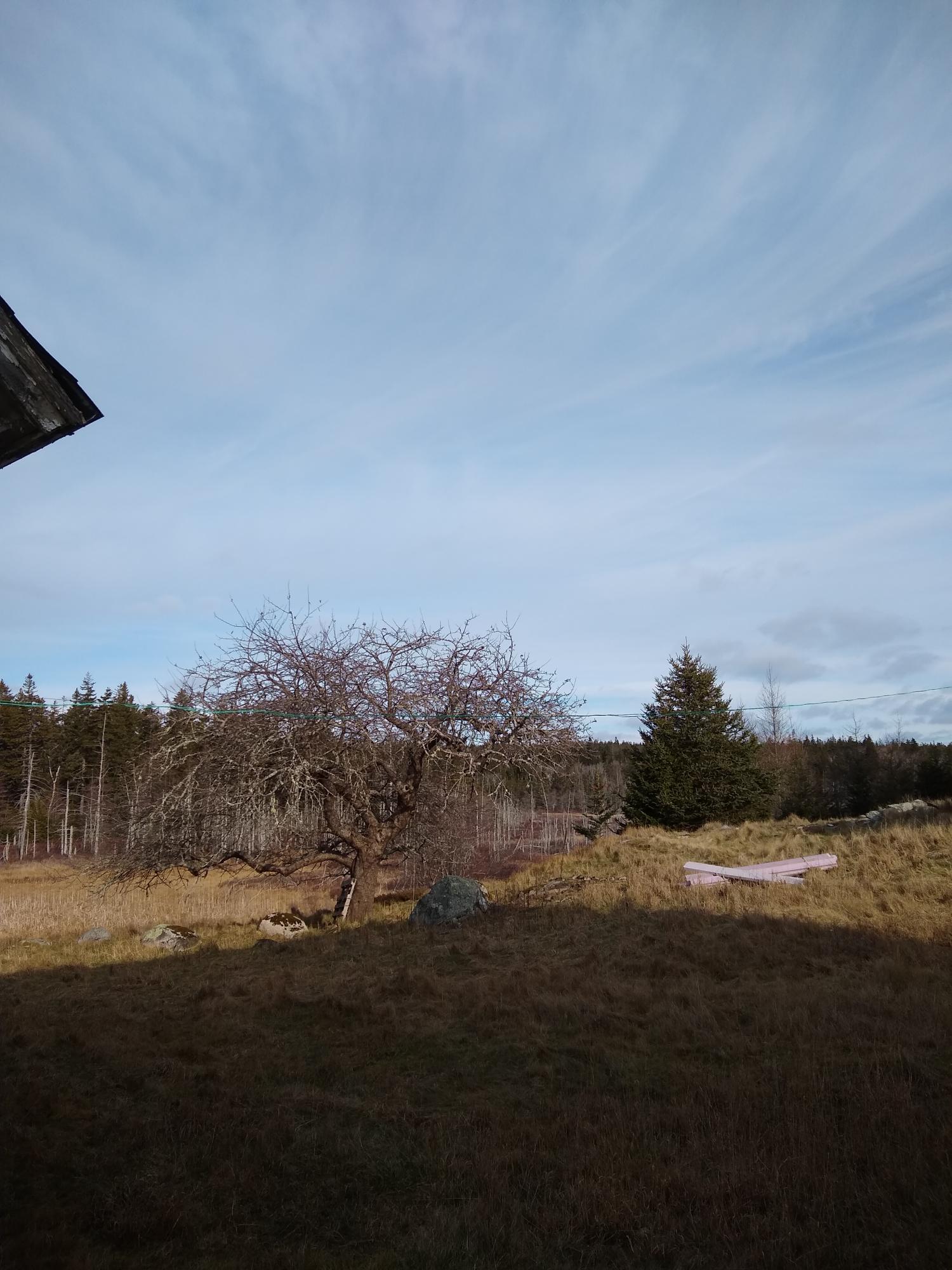 124 Stanley Point Road Swans Island, ME 04685 - Photo 15 of 15 124 Stanley Point Rd, Swans Island 2