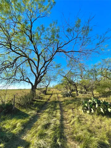 $731,700 | 1000 Cr 116 Ballinger Tx 76821, Ballinger, TX 76821