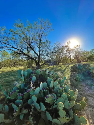 $731,700 | 1000 Cr 116 Ballinger Tx 76821, Ballinger, TX 76821