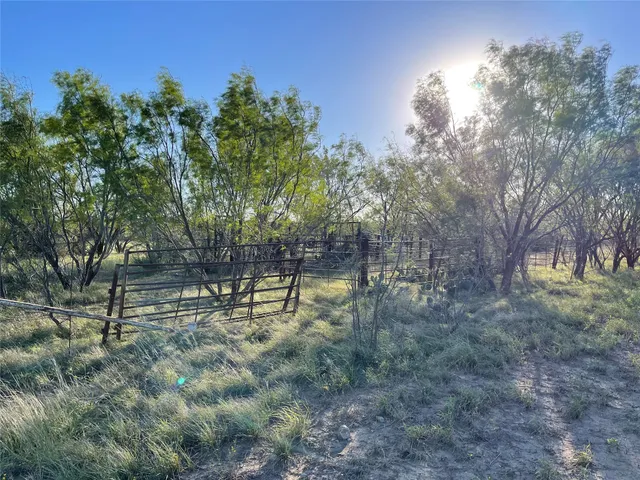 $731,700 | 1000 Cr 116 Ballinger Tx 76821, Ballinger, TX 76821