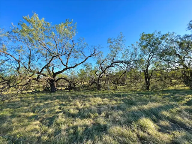 $731,700 | 1000 Cr 116 Ballinger Tx 76821, Ballinger, TX 76821