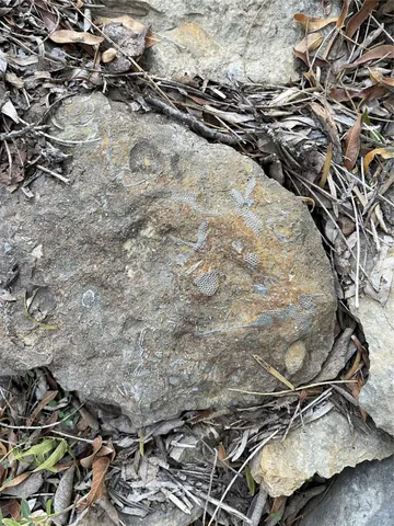 $731,700 | 1000 Cr 116 Ballinger Tx 76821, Ballinger, TX 76821