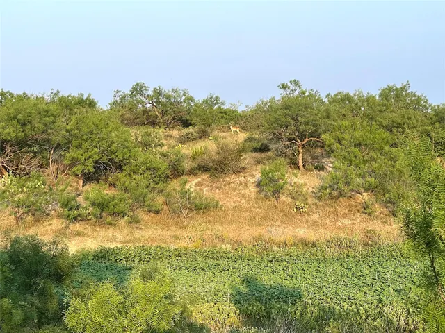 $731,700 | 1000 Cr 116 Ballinger Tx 76821, Ballinger, TX 76821