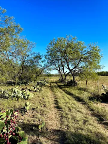 $731,700 | 1000 Cr 116 Ballinger Tx 76821, Ballinger, TX 76821