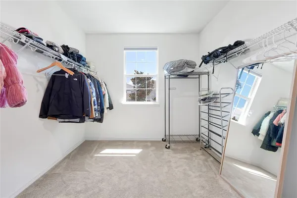 a view of a bench in the garden near a lake