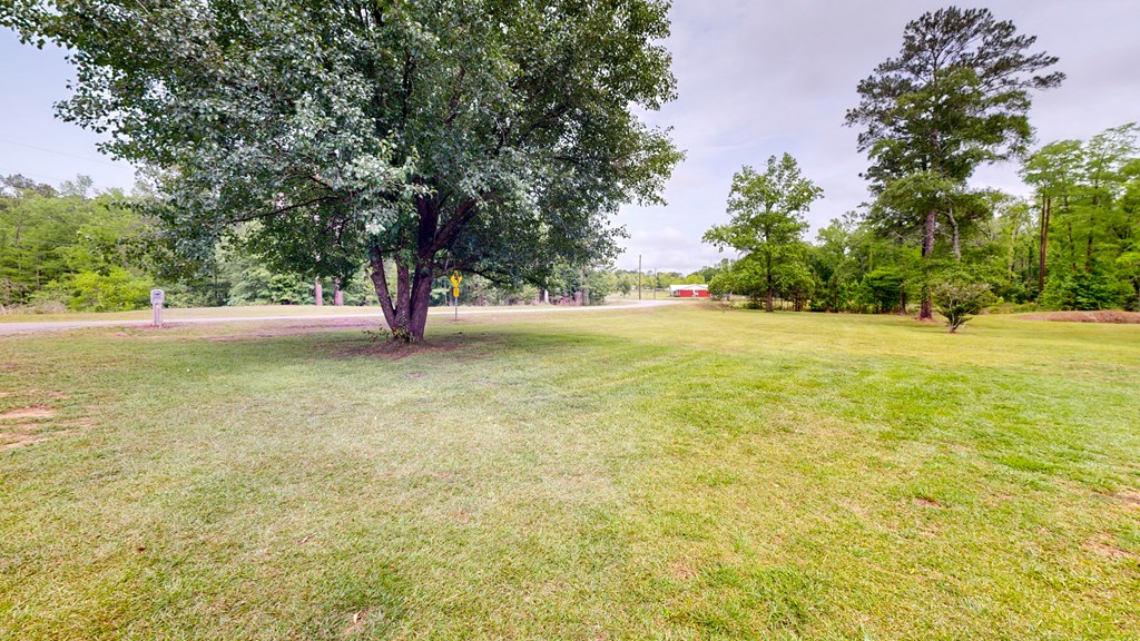 335 A J Register Road Dothan, AL 36301 - Photo 39 of 40