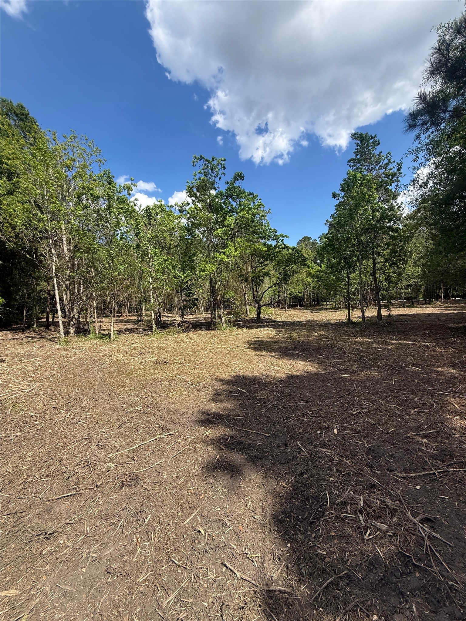 0 Daniel Street Magnolia, TX 77354 - Photo 12 of 14