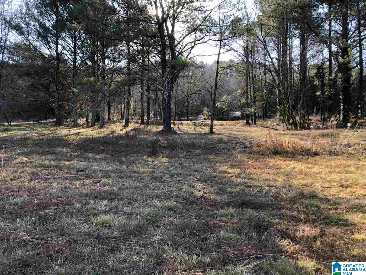 7962 Happy Hollow Road, Unit 3 Trussville, AL 35173 - Photo 1 of 13