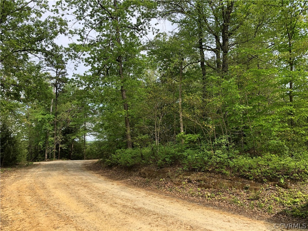 0 Deer Park Road Champlain, VA 22438 - Photo 1 of 5 Nice Road. The Lot is on the Right side of this pi