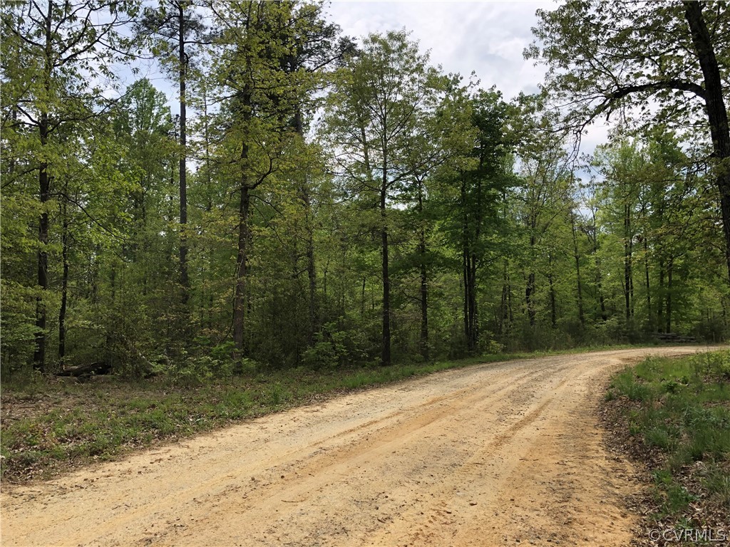 0 Deer Park Road Champlain, VA 22438 - Photo 2 of 5 This lot continues on around the curve.
