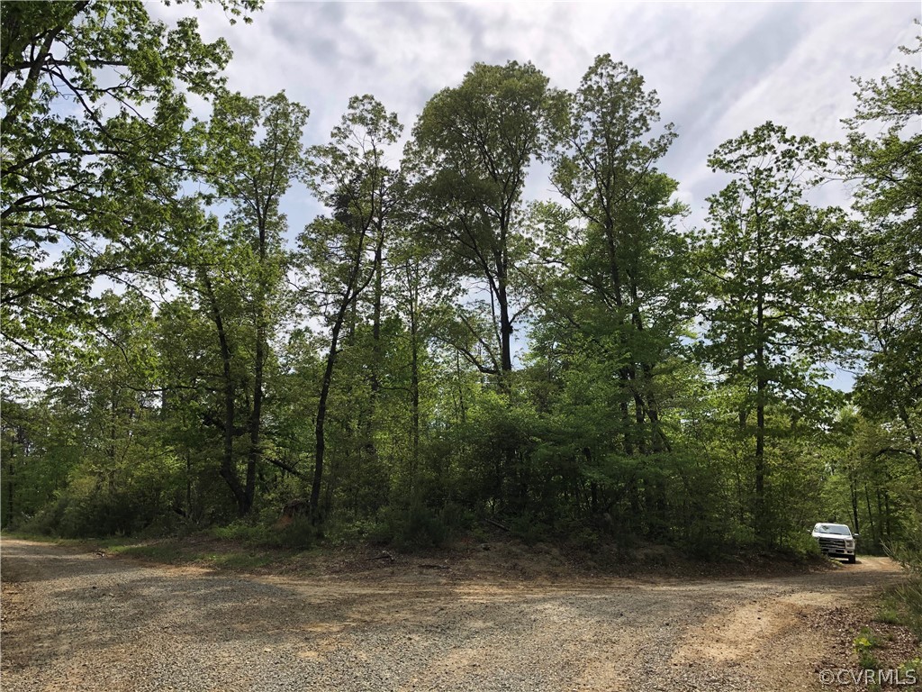 0 Deer Park Road Champlain, VA 22438 - Photo 5 of 5 Corner Lot with a lot of Road Frontage where you c