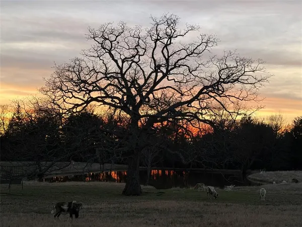 a view of a outdoor space
