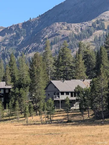 a outdoor space with lots of trees
