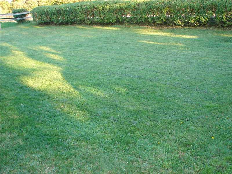 1526 Spring Run Extension Coraopolis, PA 15108 - Photo 11 of 13 Yard/Garden.