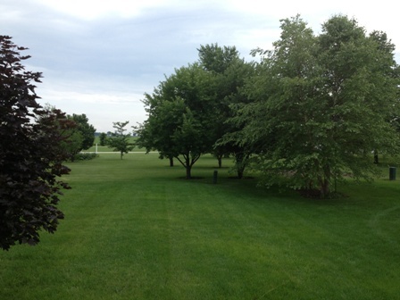 26001 Mary Road Garden Prairie, IL 61038 - Photo 17 of 19 a view of a park with trees in the background