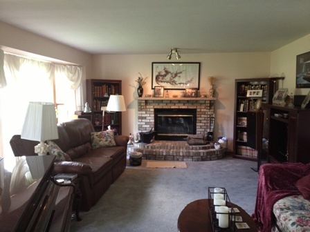 26001 Mary Road Garden Prairie, IL 61038 - Photo 4 of 19 a living room with furniture and a fireplace