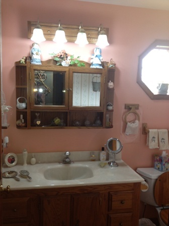 26001 Mary Road Garden Prairie, IL 61038 - Photo 9 of 19 a bathroom with a sink and a mirror