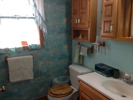 26001 Mary Road Garden Prairie, IL 61038 - Photo 10 of 19 a bathroom with a toilet sink and mirror