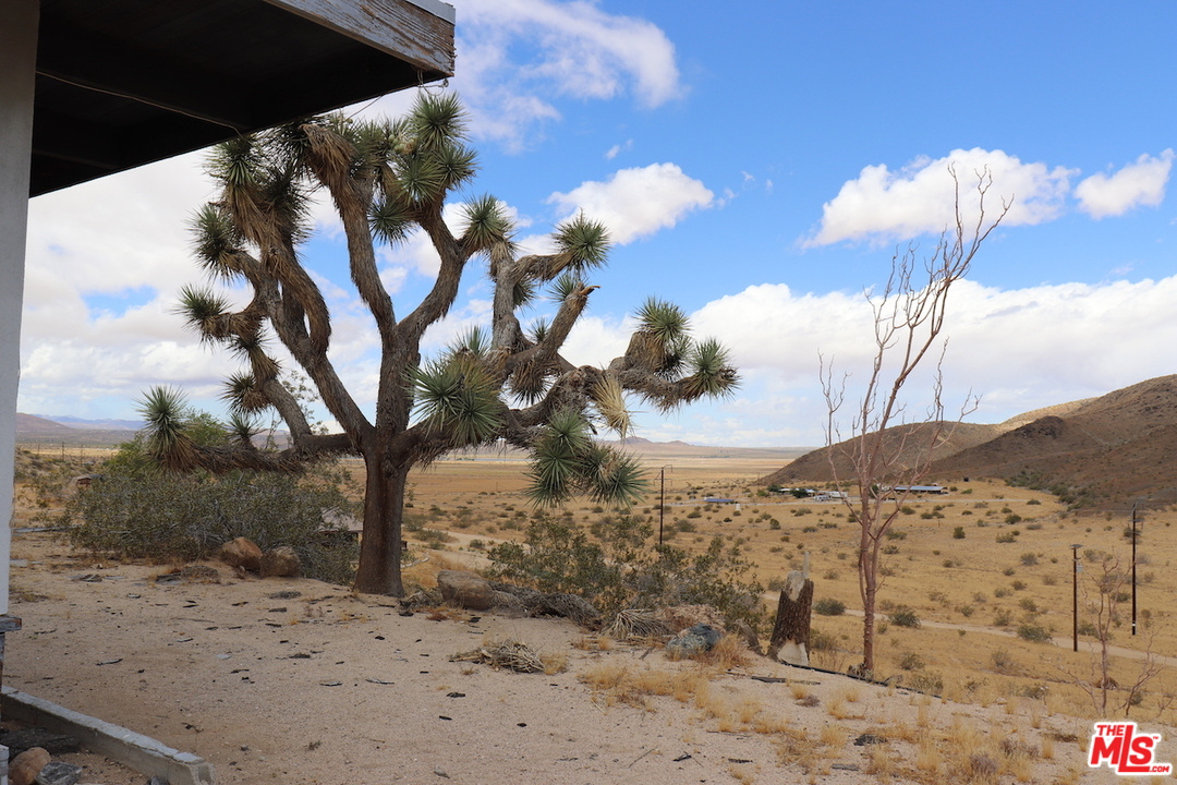 66658 Gianneli Road Joshua Tree, CA 92252 - Photo 22 of 46