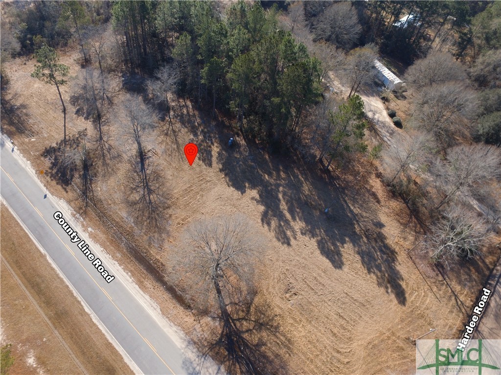 5078 County Line Road Northeast Ludowici, GA 31316 - Photo 1 of 7 Gallery Image 1
