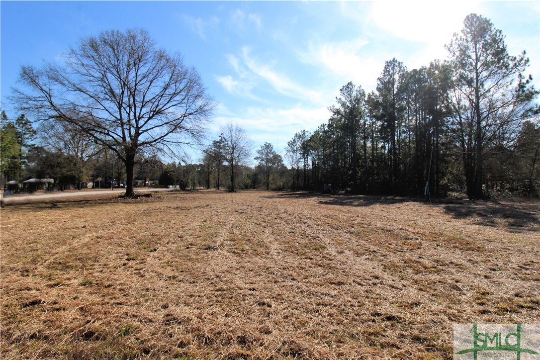 5078 County Line Road Northeast Ludowici, GA 31316 - Photo 2 of 7 Gallery Image 2