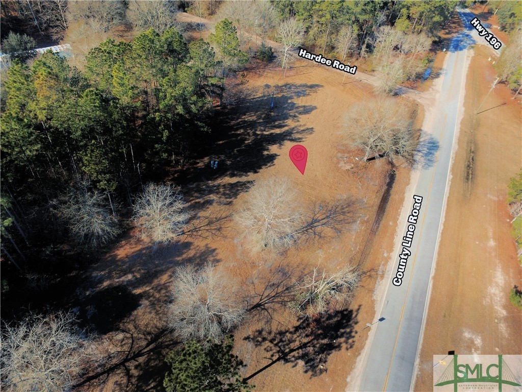 5078 County Line Road Northeast Ludowici, GA 31316 - Photo 3 of 7 Gallery Image 3