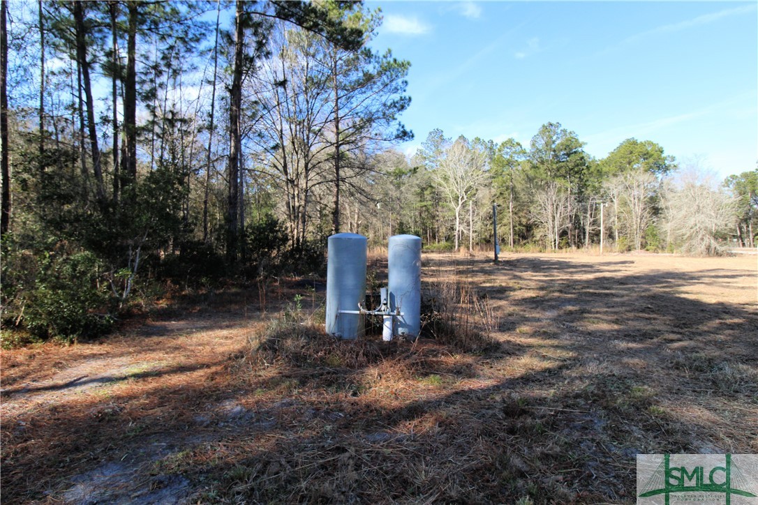 5078 County Line Road Northeast Ludowici, GA 31316 - Photo 4 of 7 Gallery Image 4