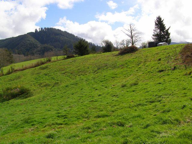 23 Skyview Road Tillamook, OR 97141 - Photo 27 of 41 P3180305