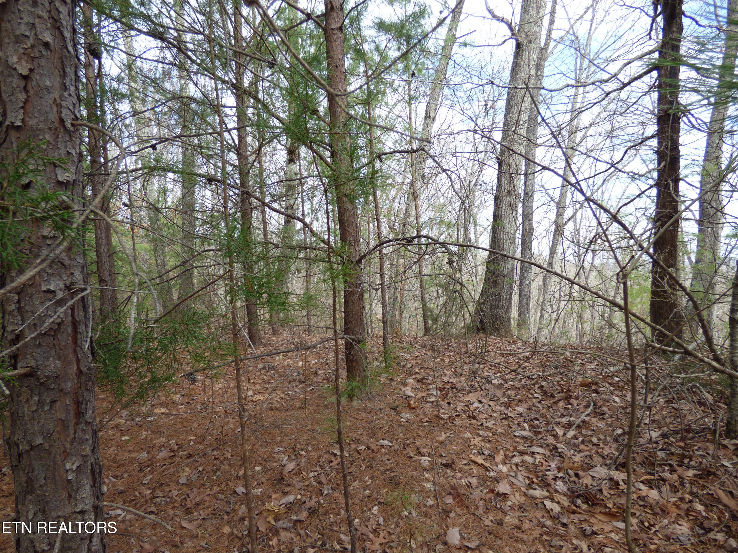 Bayside Boulevard, Unit 35 Bean Station, TN 37708 - Photo 3 of 6 P1020819