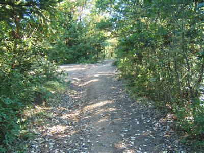 7962 Upper Applegate Road Jacksonville, OR 97530 - Photo 6 of 10 Old road alongside garage/storage buildi
