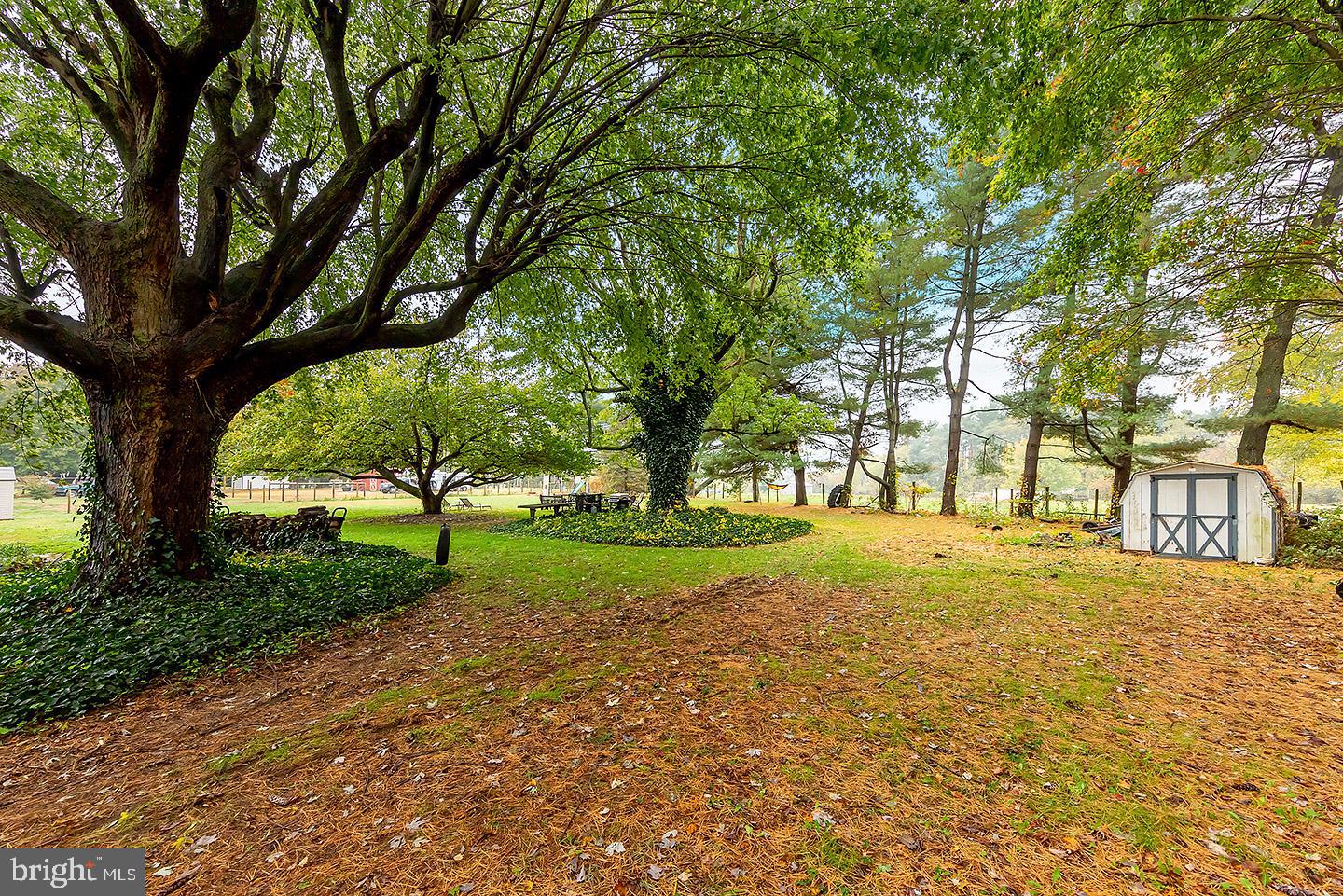 481 Whig Lane Road Pilesgrove, NJ 08098 - Photo 5 of 25 Gallery Image 5