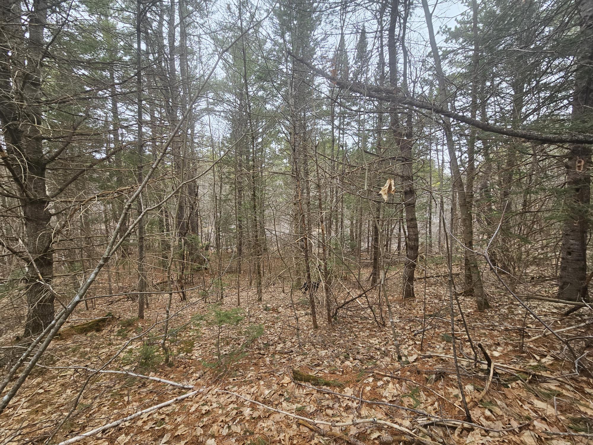 6-00c New Harrison Road Oxford, ME 04270 - Photo 9 of 43 Lot 6