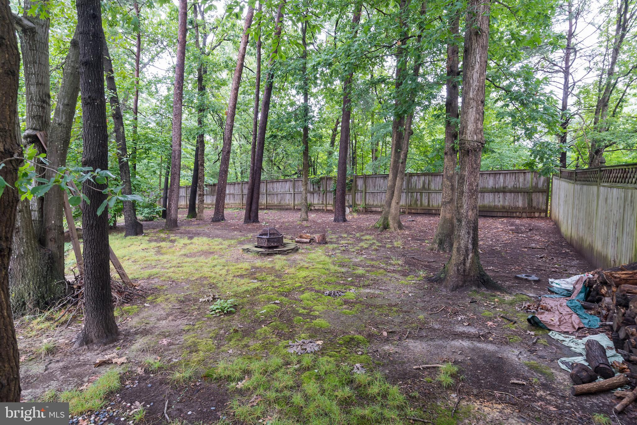 5941 Hall Street Springfield, VA 22152 - Photo 33 of 35 Private, fenced backyard