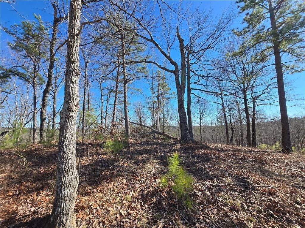 0 Brushy Mountain Road Rockmart, GA 30153 - Photo 1 of 10 a backyard of a house with lots of green space