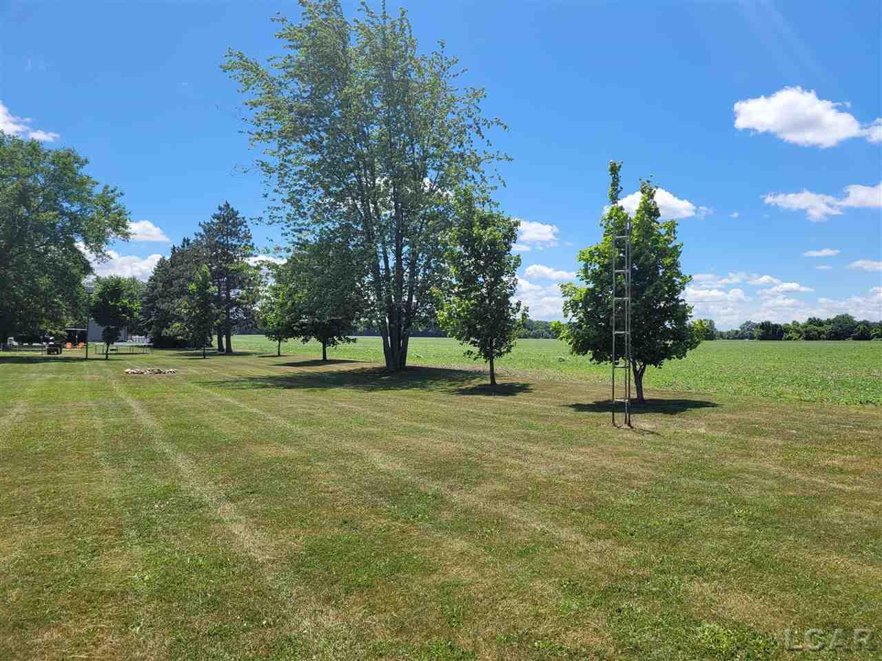1561 Ives Road Tecumseh, MI 49286 - Photo 14 of 42 50045206-13.JPG