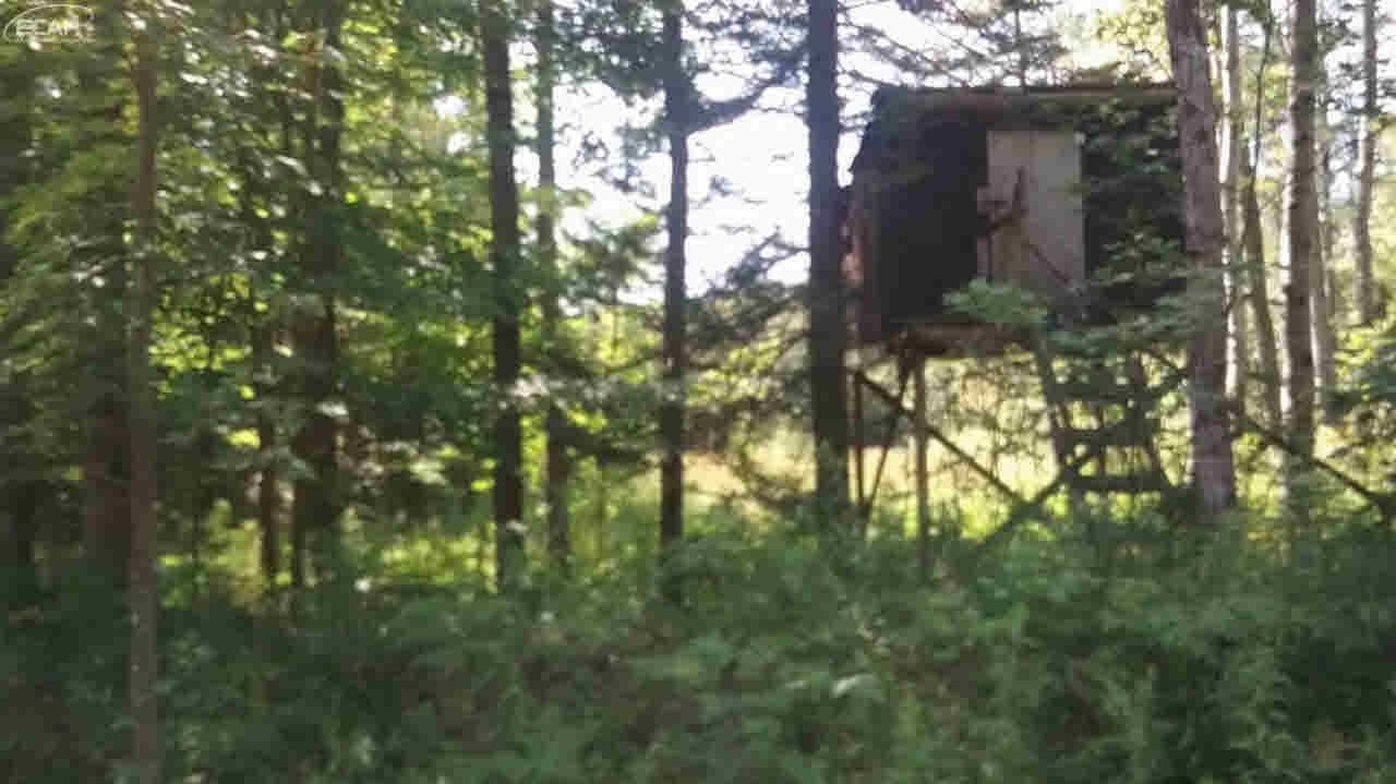 0 South National City Road Turner, MI 48765 - Photo 8 of 11