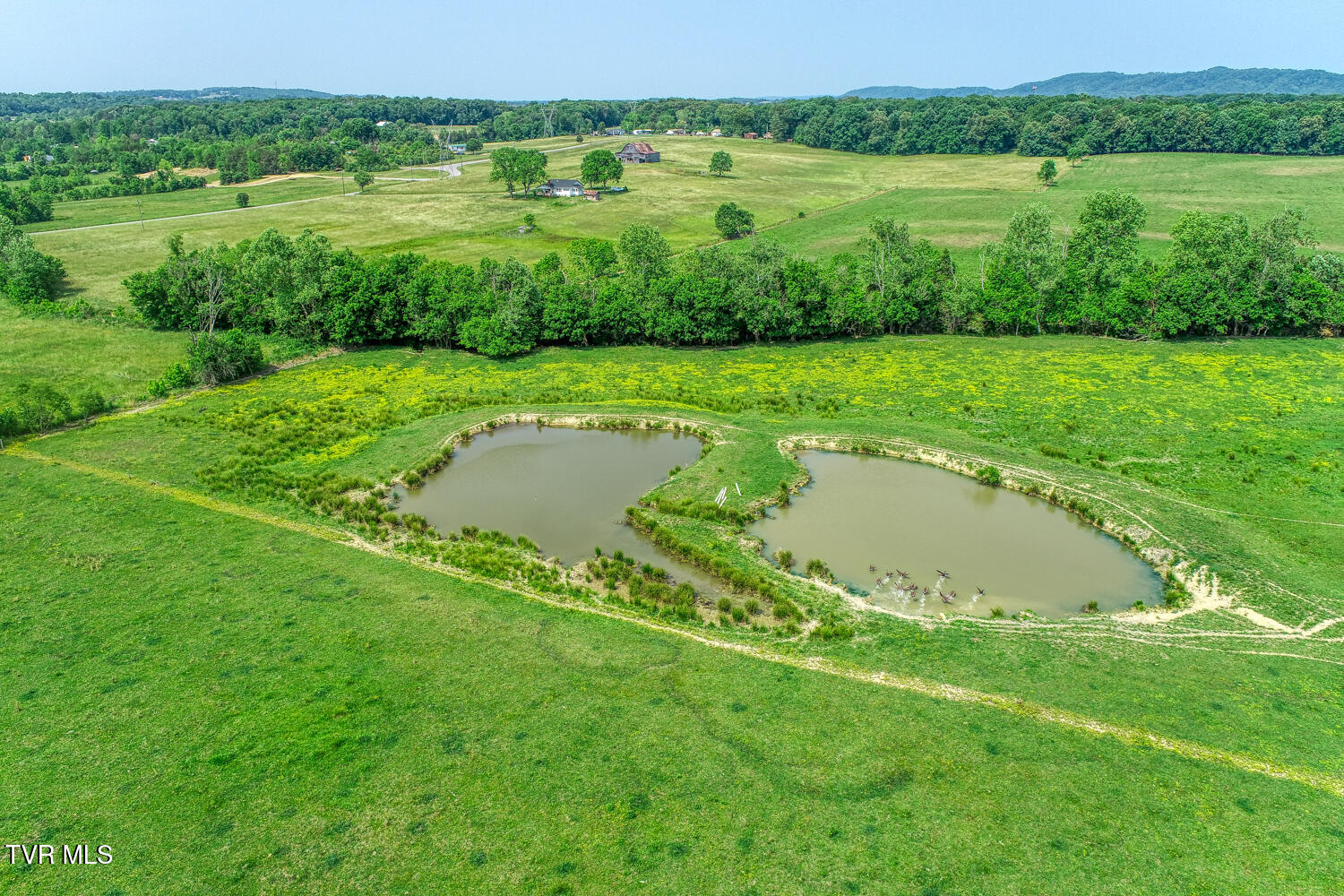 4135 Ottway Road Greeneville, TN 37745 - Photo 95 of 116 J Carter Ottway Gvl MLSa (55 of 113)