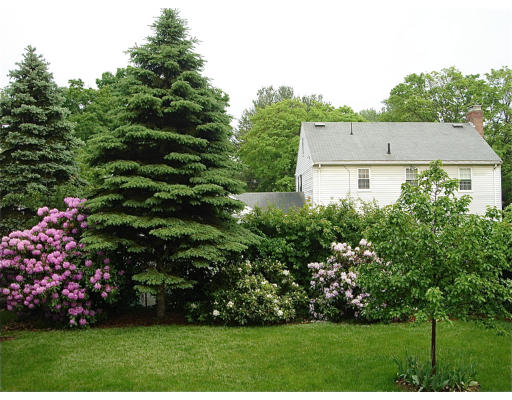 42 Brookdale Road Newton, MA 02460 - Photo 3 of 11 Gallery Image 3