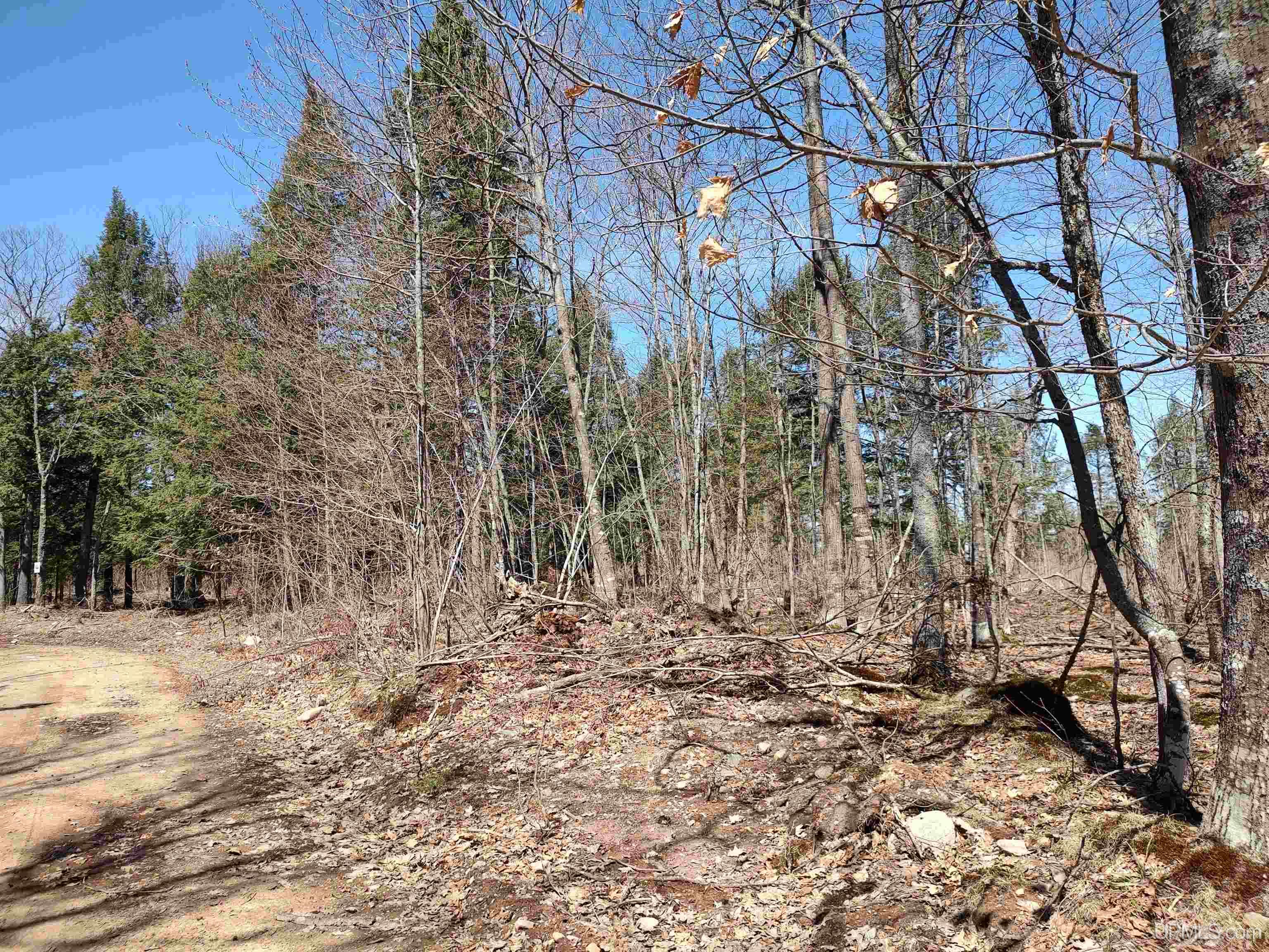 Tbd Black Creek Road Skanee, MI 49962 - Photo 4 of 13