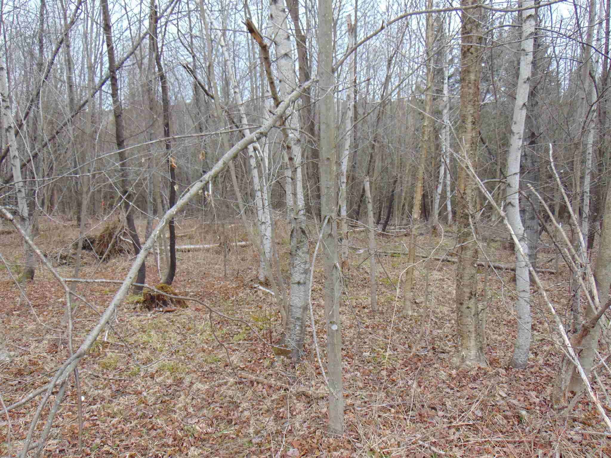 0 Beede Road, Unit 4 Concord, VT 05824 - Photo 2 of 13