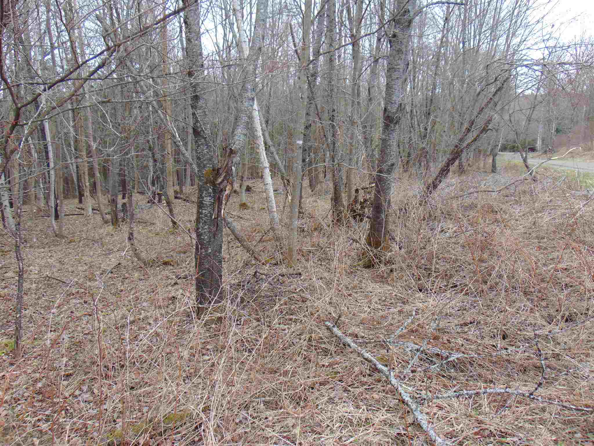 0 Beede Road, Unit 4 Concord, VT 05824 - Photo 4 of 13