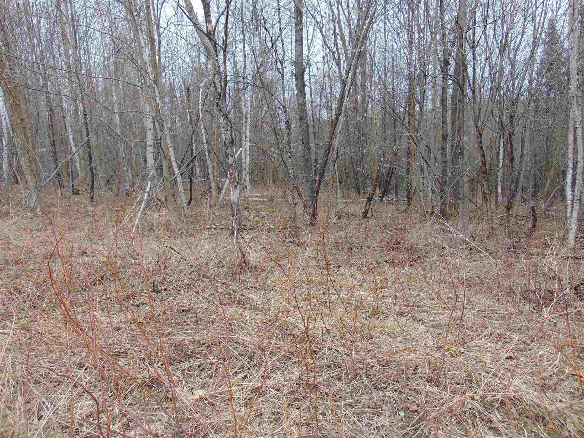 0 Beede Road, Unit 4 Concord, VT 05824 - Photo 6 of 13