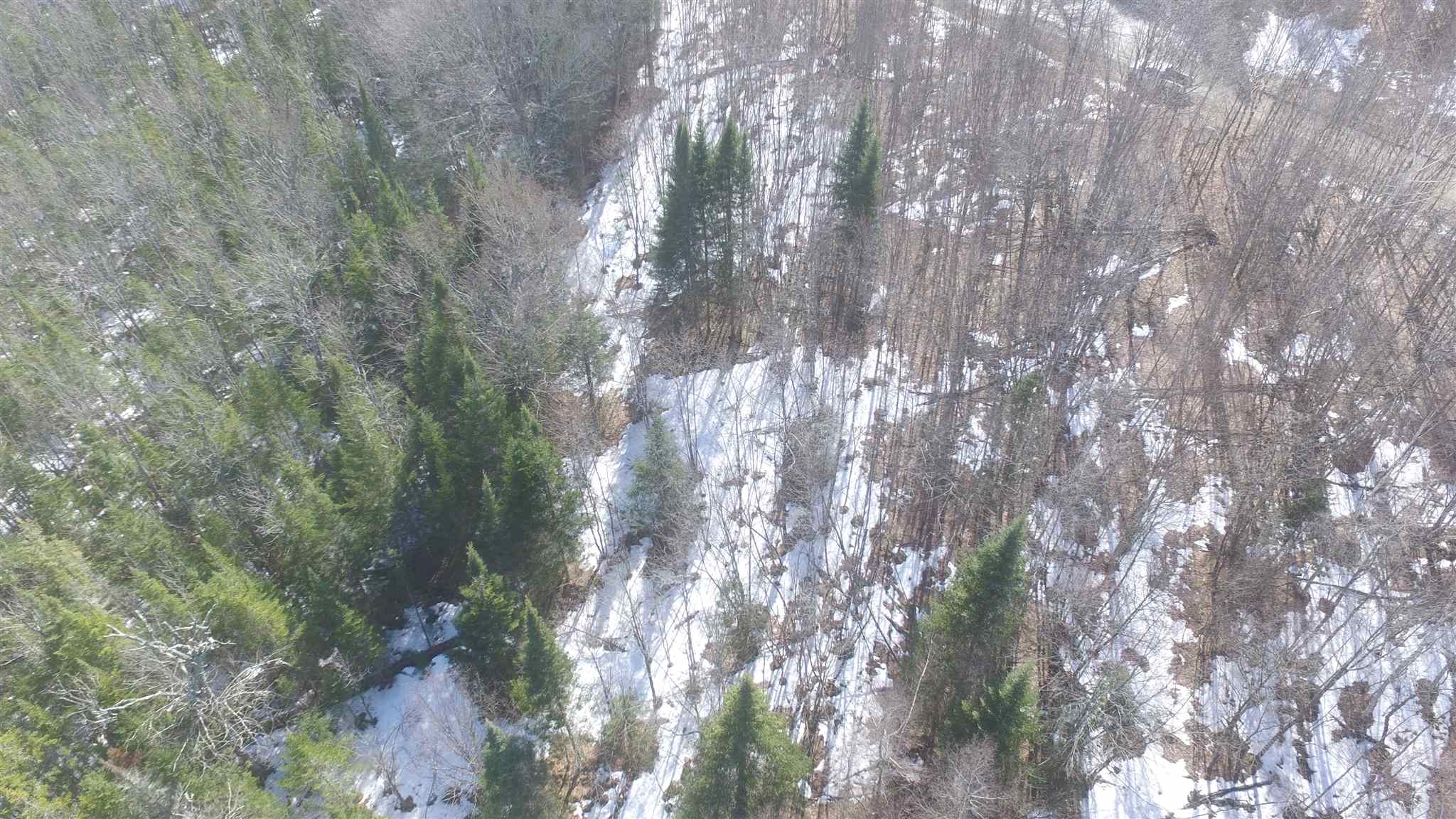 0 Beede Road, Unit 4 Concord, VT 05824 - Photo 8 of 13