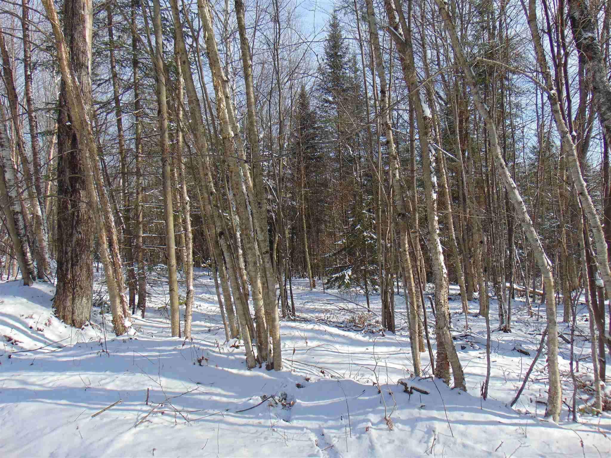 0 Beede Road, Unit 4 Concord, VT 05824 - Photo 9 of 13